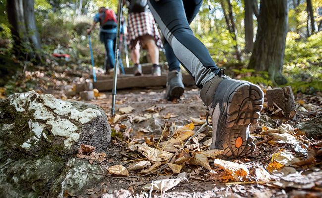Image - Konzeptentwicklung für den ersten BNE-Wanderweg im Landkreis Osnabrück